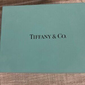 Tiffany & Co Pewter Picture Frame 5x7 with original packaging